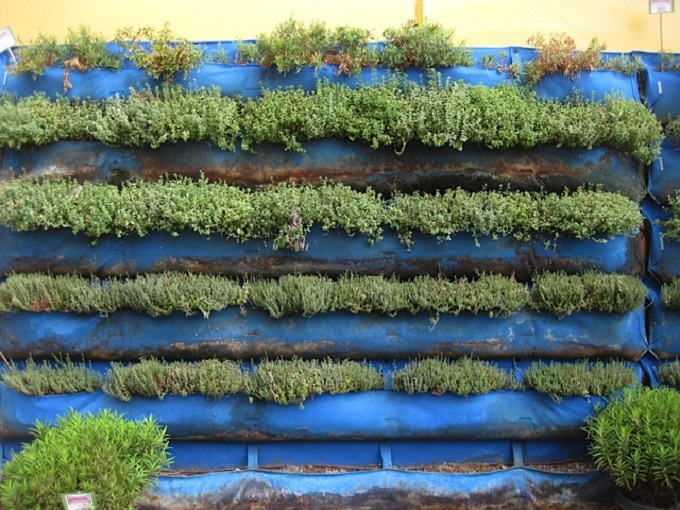 Vertical Herb Garden • Insteading